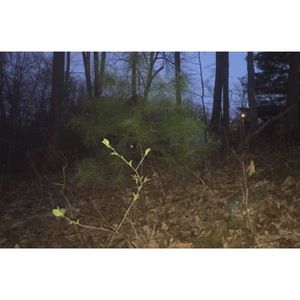 Meet your Posher, Adam